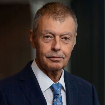 Ion Nestor